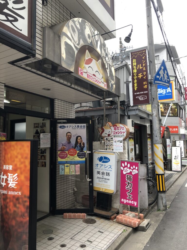 猫アレルギーだけど 猫カフェ行ってみた 猫カフェ ニャンシー 埼玉県志木市 39 鬱持ち30代オンナがどこまでやれるか